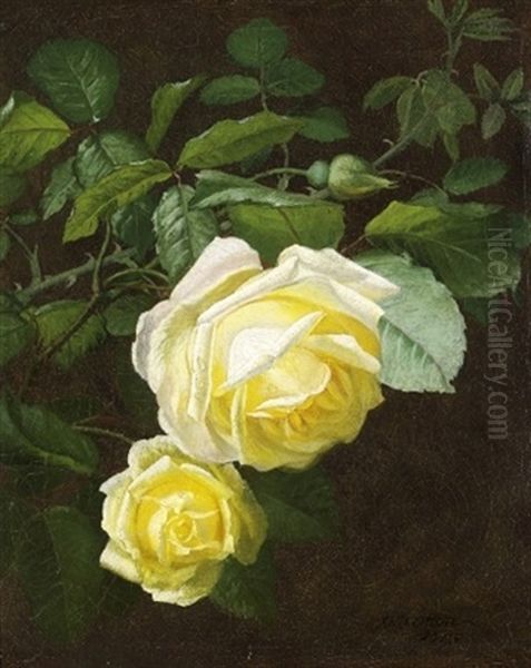 Blomstrende Marechal Niel Roser Oil Painting by Otto Didrik Ottesen