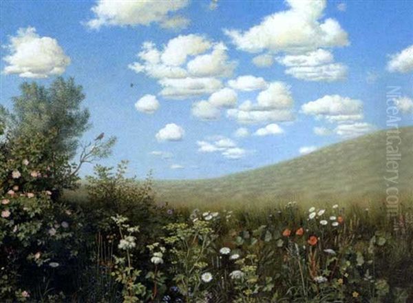 Drivende Skyer Over Sommerlandskab, I Forgrunden Blomstrende Groftekant Oil Painting by Otto Didrik Ottesen