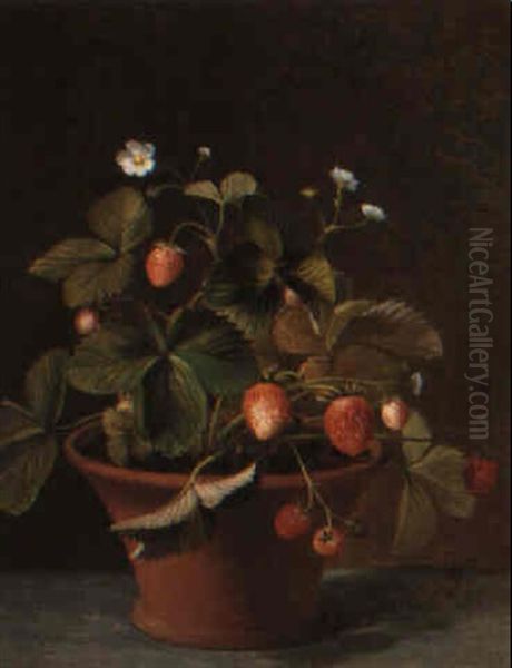 A Wild Strawberry Plant Oil Painting by Otto Didrik Ottesen