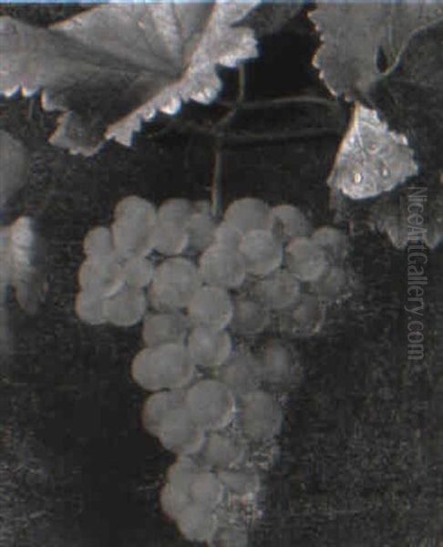 Still Life Of Grapes On A Vine Oil Painting by Otto Didrik Ottesen