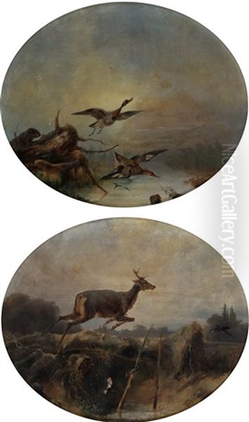 Hunting Scene With Couple Of Ducks Scared By A Beaver; Prancing Deer In Landscape (2 Works) Oil Painting by August Ferdinand Ottevaere