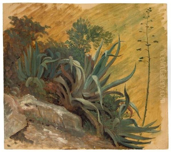 Agaves In Tivoli Oil Painting by Heinrich Otto