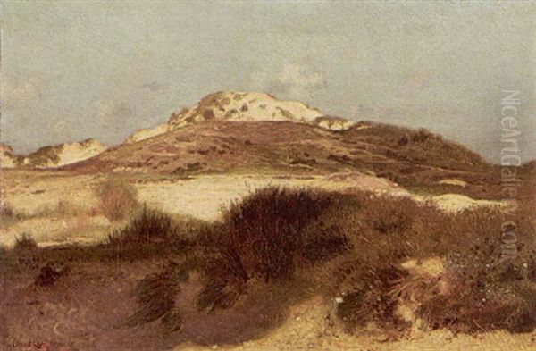 The Dunes Oil Painting by Pierre Jan van der Ouderaa