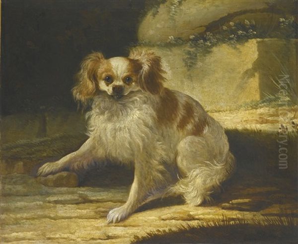 A Portrait Of A Brown And White Toy Spaniel In A Landscape Oil Painting by Jacques Charles Oudry