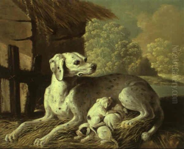 Chienne Allaitant Ses Petits Oil Painting by Jacques Charles Oudry