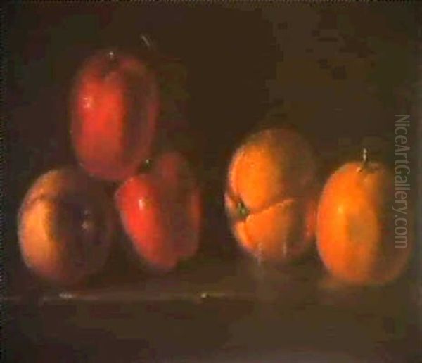 Une Nature Morte Aux Oranges Oil Painting by Jacques Charles Oudry