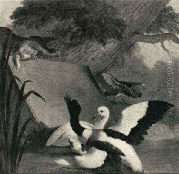 A Hawk Threatens A Duck's Nest Oil Painting by Jacques Charles Oudry