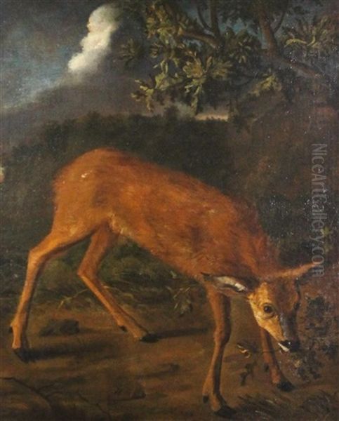 Doe In The Woods Oil Painting by Jean-Baptiste Oudry