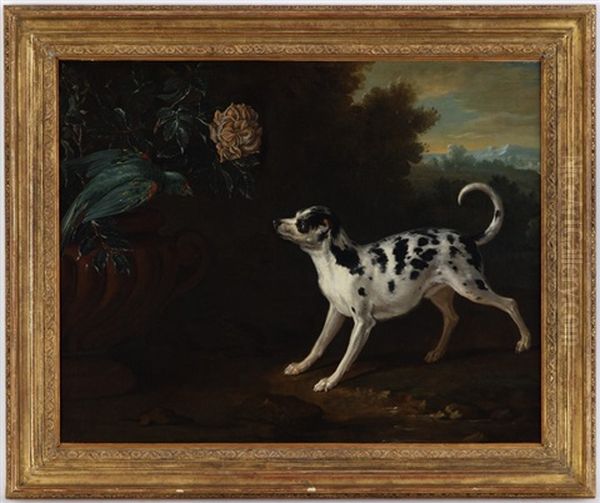 Chatte Et Chaton (+ Chien Et Perroquet; Pair In Collab W/workshop) Oil Painting by Jean-Baptiste Oudry