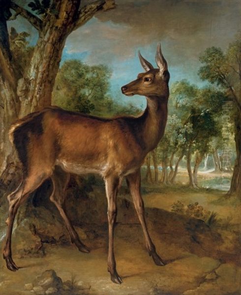 The Watchful Doe (biche Aux Augets) Oil Painting by Jean-Baptiste Oudry