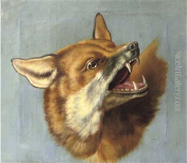 The Head Of A Fox (study) Oil Painting by Jean-Baptiste Oudry