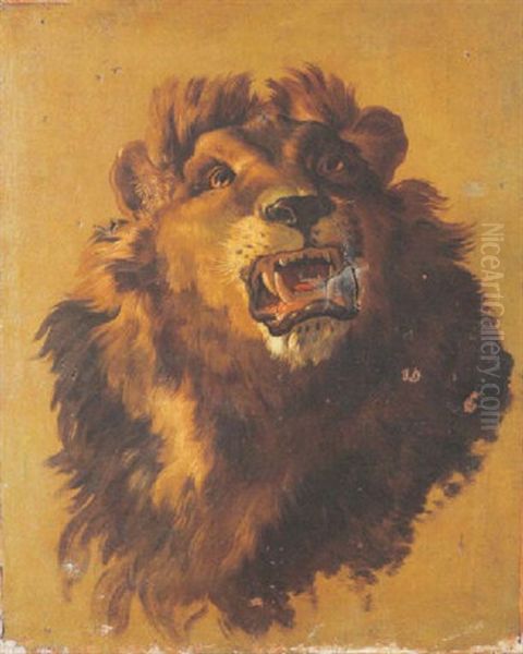 Etude De Tete De Lion Oil Painting by Jean-Baptiste Oudry