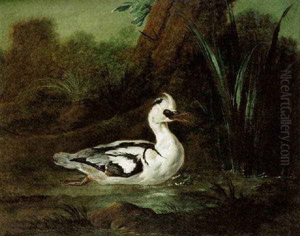 A Male Smew Swimming Near Reeds Oil Painting by Jean-Baptiste Oudry