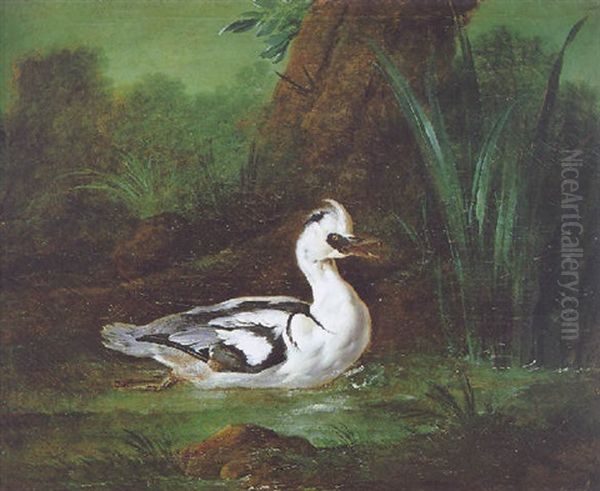 Le Canard Pres Des Roseaux by Jean-Baptiste Oudry