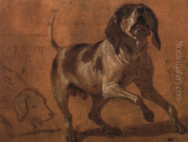 Study Of A Hound Baying Oil Painting by Jean-Baptiste Oudry