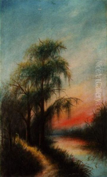 Sun Reflections, Barnes Creek, West Lake, Louisiana Oil Painting by Will Ousley