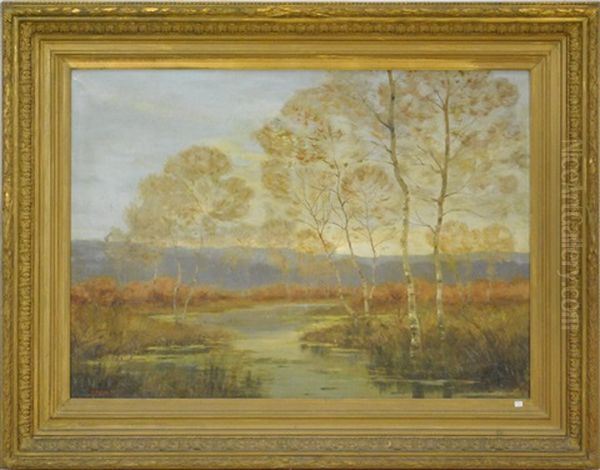 Paysage Marecageux Oil Painting by Nester Outer