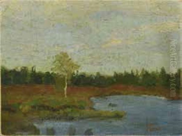 Brocken Bei Vegesack Worpsweder Landschaft Mit Einzelner Birke An Weiher Oil Painting by Fritz Overbeck