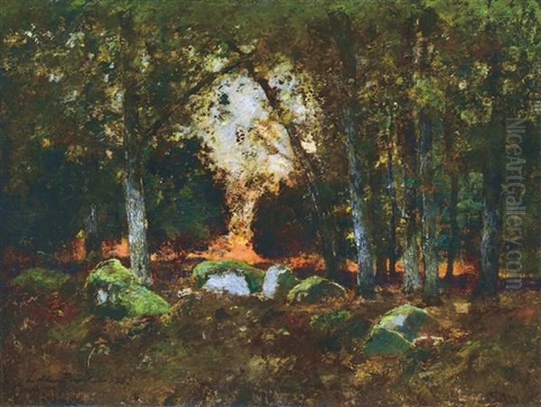 Forest With Rocks Oil Painting by Laszlo Paal