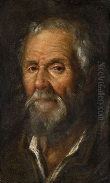 Tete De Vieil Homme Oil Painting by Francisco Pacheco