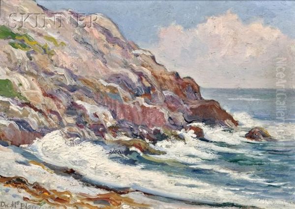 Coastal View Oil Painting by Dwight Blaney