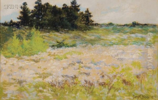 Spring Landscape Oil Painting by Dwight Blaney