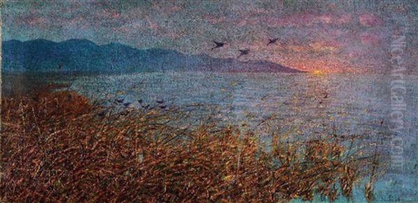 Lago Di Massaciuccoli Oil Painting by Ferruccio Pagni