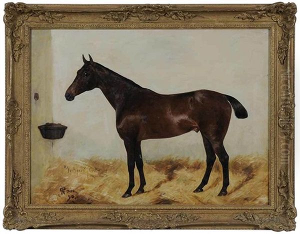 Bay Horse In Loose Box Oil Painting by George Paice