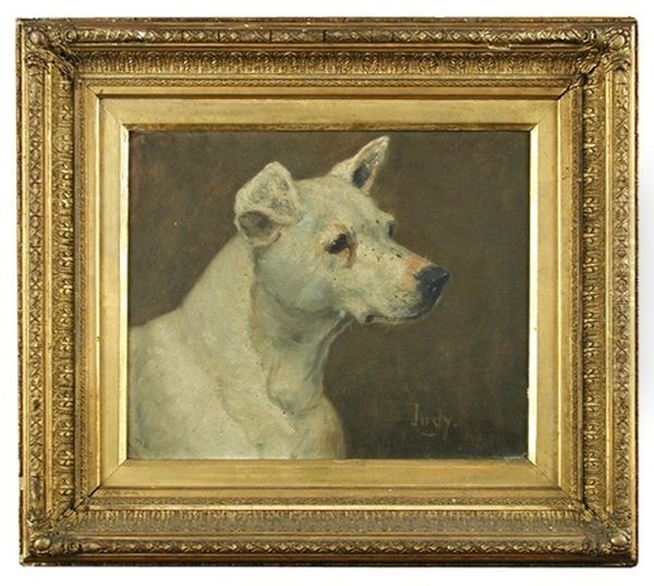 A Study Of 'judy' , A Bull Terrier Oil Painting by George Paice