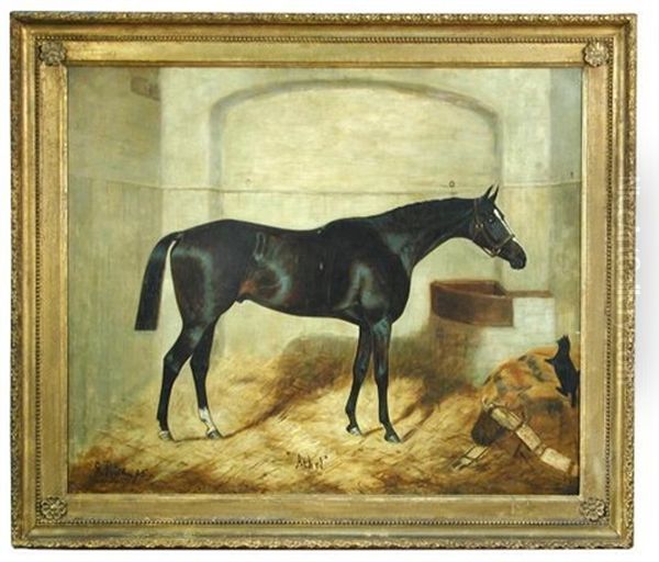 Athel, A Dark Bay Hunter Ina Stable With A Black Cat Oil Painting by George Paice