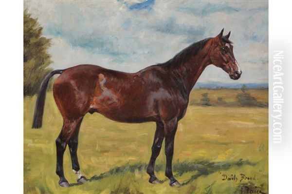 A Horse In A Field Oil Painting by George Paice