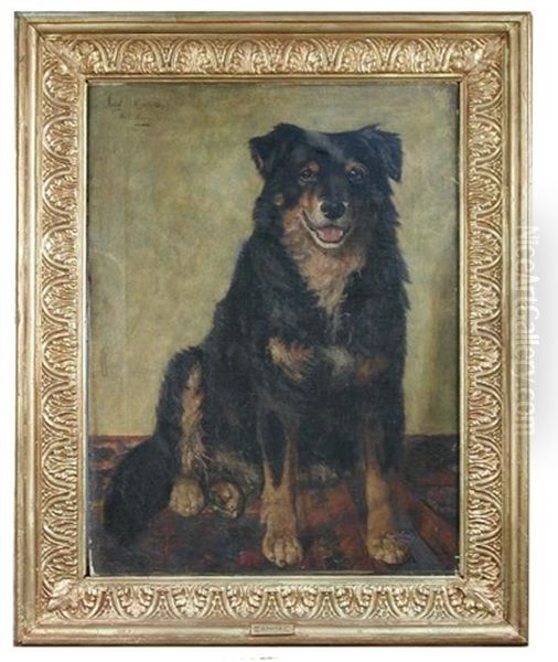 Jock, A Favourite Collie Oil Painting by George Paice