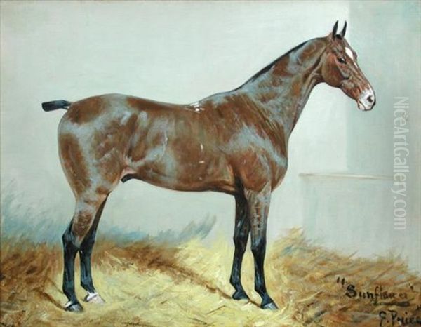 Sunflower, A Racehorse Oil Painting by George Paice