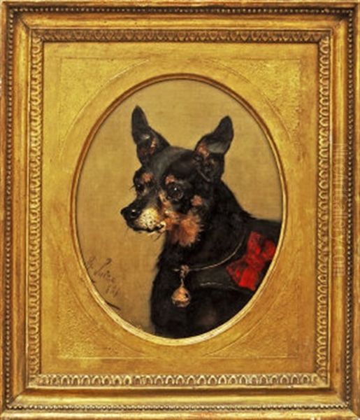 Study Of A Chihuahua With Red Bow And Bell Oil Painting by George Paice