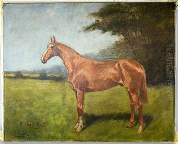 Michael Roy, Study For A Horse Oil Painting by George Paice