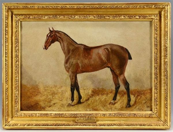 Equine Portrait Oil Painting by George Paice