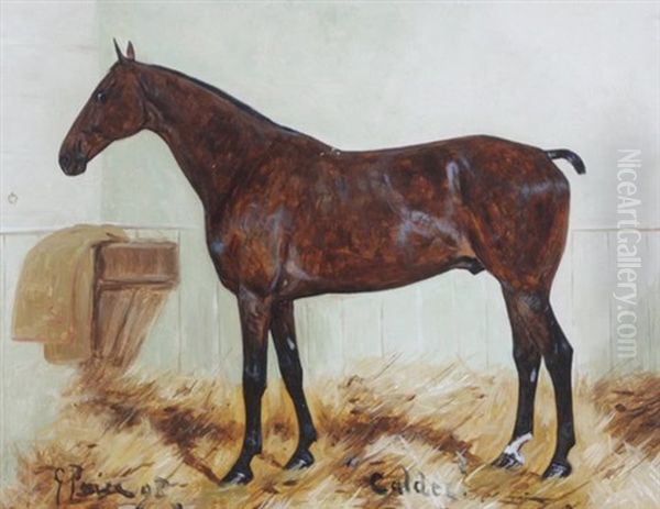 Chestnut Hunter Calder Oil Painting by George Paice