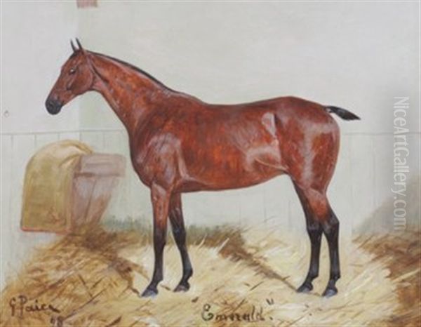 Chestnut Hunter Emerald Oil Painting by George Paice