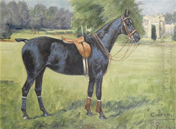 Colleen, Portrait Of A Polo Pony Oil Painting by George Paice