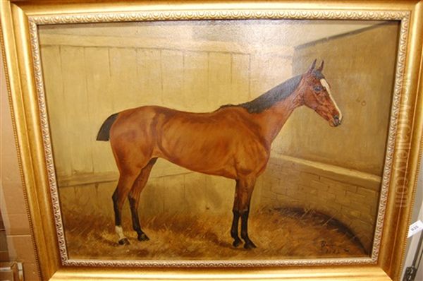 Horse Standing In A Loose Box (study) Oil Painting by George Paice