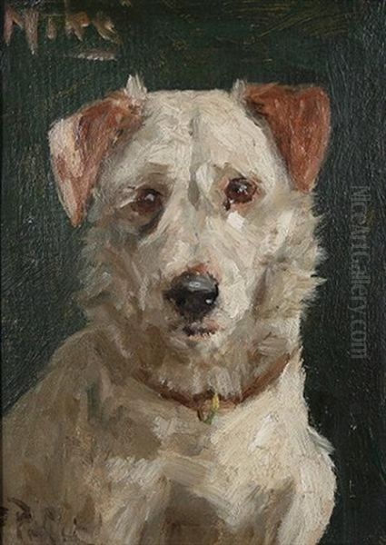 Mike, Study Of A Terrier Oil Painting by George Paice