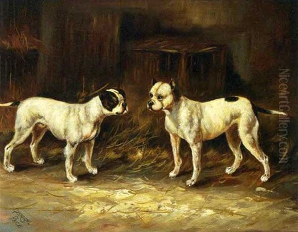 Les Boston Terriers Oil Painting by George Paice