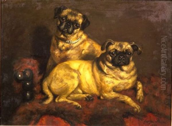 Two Pugs On A Red Divan Oil Painting by George Paice