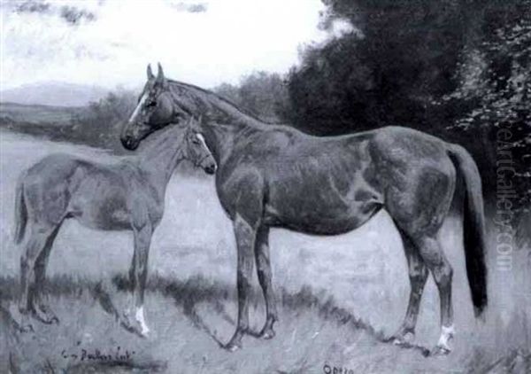 Portrait Of Horse And Foal Oil Painting by George Paice