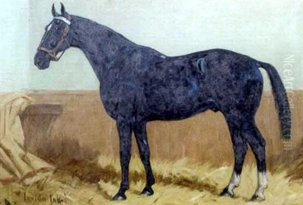 Indian Ink, A Dark Bay Hunter In A Stable Oil Painting by George Paice