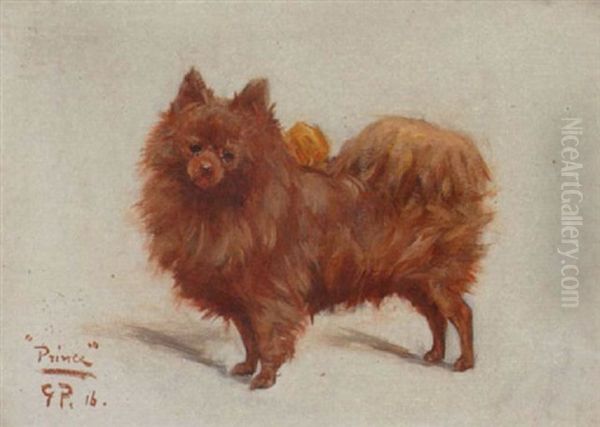 Prince, A Pomeranian Oil Painting by George Paice