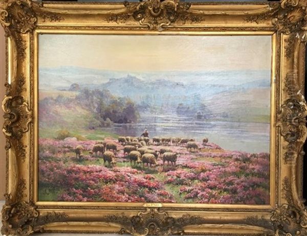 Moutons Dans Les Bruyeres Oil Painting by Edouard Pail