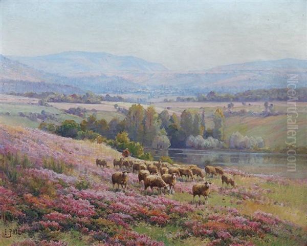 Moutons Dans La Bruyere Oil Painting by Edouard Pail