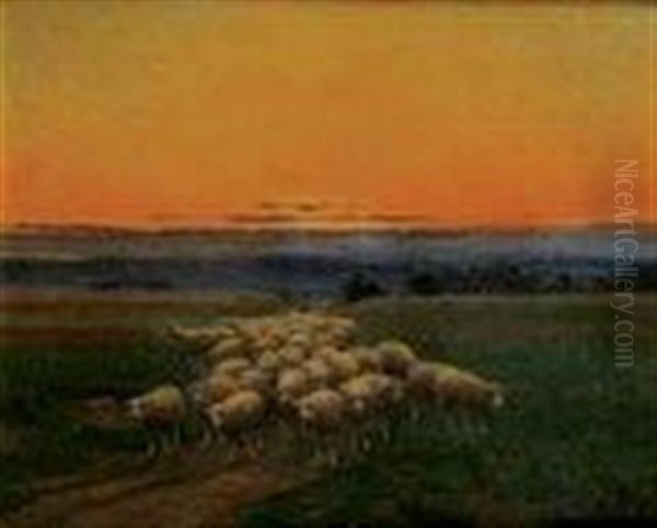 Moutons Au Soleil Couchant Oil Painting by Edouard Pail