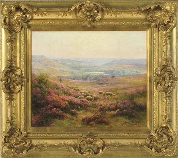 Troupeau De Moutons Dans Un Haut Plateau; Bruyeres En Fleurs Oil Painting by Edouard Pail